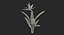 Flowers in Vases Collection 2