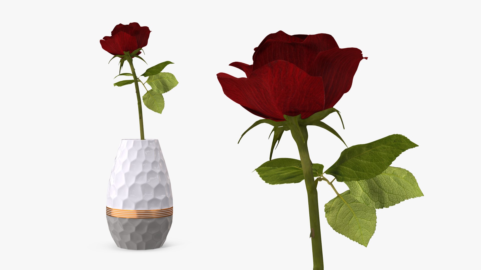 flowers vases 2 model https://p.turbosquid.com/ts-thumb/xI/Ot1QbO/SxQTM2e0/flowersinvasescollection23dsmodel005/jpg/1589469392/1920x1080/fit_q87/3a17d1c1147b4a0c1c8bc5275e3153c63cd08ea5/flowersinvasescollection23dsmodel005.jpg