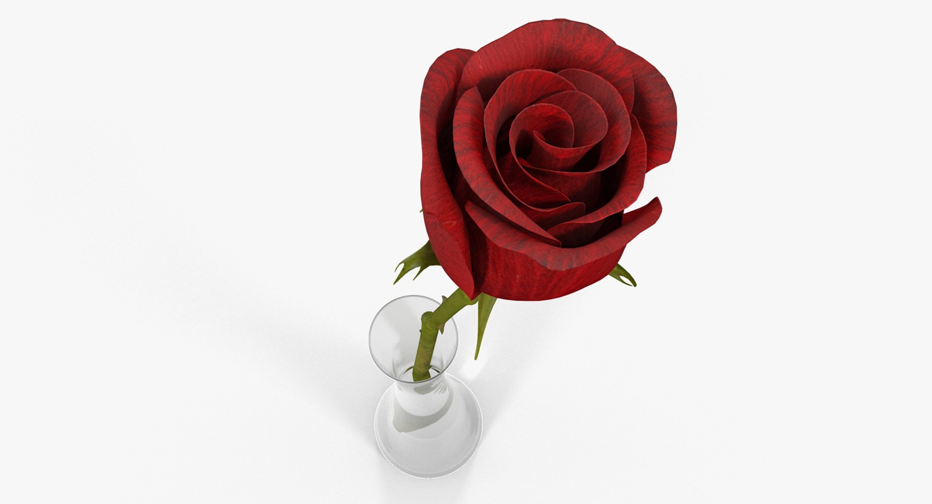 flowers vases 2 model https://p.turbosquid.com/ts-thumb/xI/Ot1QbO/Y8NEEdan/flowersinvasescollection23dsmodel044/jpg/1589469467/1920x1080/fit_q87/e46e6adde7d4419e6480147ca9533ce9d9a0ad0f/flowersinvasescollection23dsmodel044.jpg