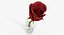 Flowers in Vases Collection 2
