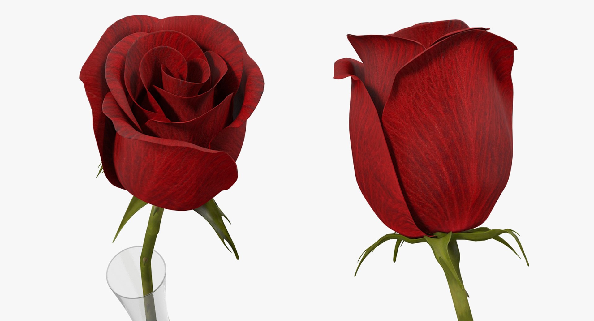 flowers vases 2 model https://p.turbosquid.com/ts-thumb/xI/Ot1QbO/ag3Xhc81/flowersinvasescollection23dsmodel045/jpg/1589469469/1920x1080/fit_q87/4e51f9ba4b43f2d55435d1bf04aca67fc9d0c49c/flowersinvasescollection23dsmodel045.jpg