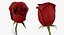 Flowers in Vases Collection 2