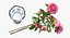 Flowers in Vases Collection 2