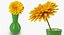Flowers in Vases Collection 2