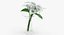 Flowers in Vases Collection 2