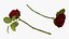 Flowers in Vases Collection 2