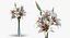 Flowers in Vases Collection 2