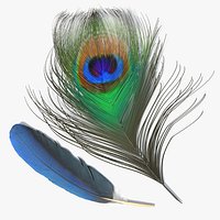 Peacock Feathers Green Blue Fur