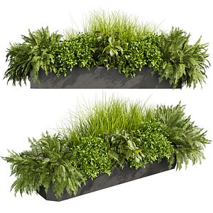 3D model plant vol 855 - Indoor - balcony - ampelous