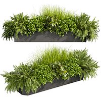plant vol 855 - Indoor - balcony - ampelous