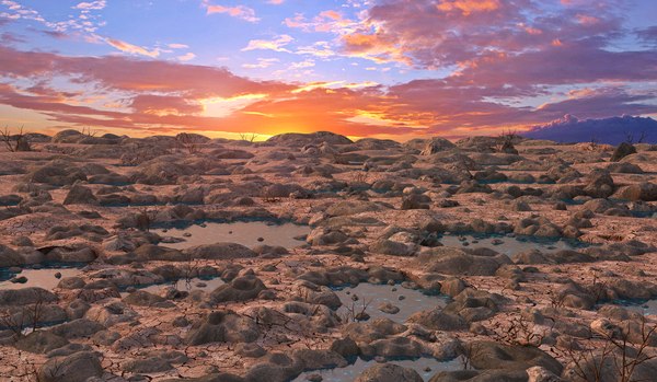 desert landscape rock 3D model