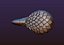 Eagle head stylized Print