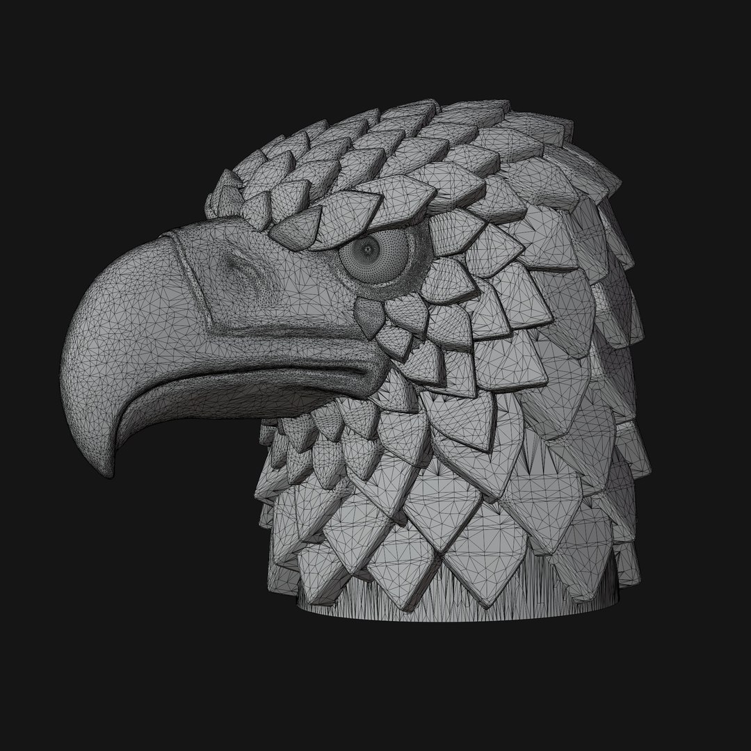 3D Eagle head stylized Print https://p.turbosquid.com/ts-thumb/xI/j7Uhqt/rF/14/jpg/1648531015/1920x1080/fit_q87/204a245b6332f7eb4dc725c6e14392ee9091ceb3/14.jpg