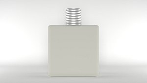 Perfume Bottle