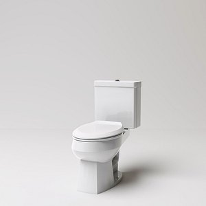 toilet(55)