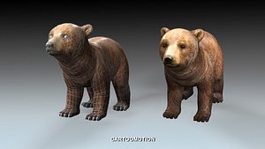 baby bear max