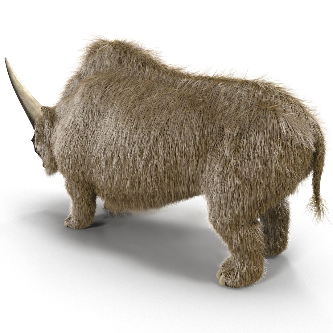 max elasmotherium https://p.turbosquid.com/ts-thumb/xI/uWZFBm/2uYl90TQ/elasmotheriumfur_7/jpg/1413496099/1920x1080/fit_q87/3396dae30e85d82d6b2b13a92fb08e9bf502893a/elasmotheriumfur_7.jpg