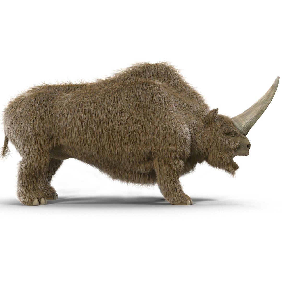 max elasmotherium https://p.turbosquid.com/ts-thumb/xI/uWZFBm/DQIuJls6/elasmotheriumfur_5/jpg/1413496086/1920x1080/fit_q87/405c07cfd04f8dd08e7bbb7ff2d35e88e77e81e4/elasmotheriumfur_5.jpg