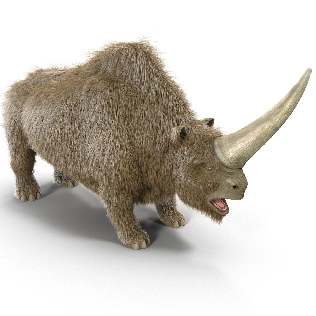 max elasmotherium https://p.turbosquid.com/ts-thumb/xI/uWZFBm/F6aAnJk3/elasmotheriumfur_9/jpg/1413496051/1920x1080/fit_q87/7ea7e3abb3c782152df1520799a81b216e592f39/elasmotheriumfur_9.jpg