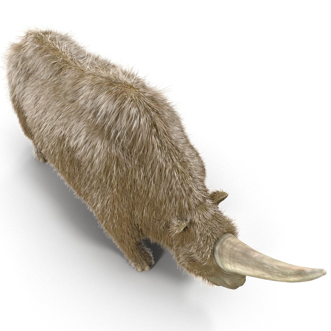 max elasmotherium https://p.turbosquid.com/ts-thumb/xI/uWZFBm/FAJfvaVX/elasmotheriumfur_10/jpg/1413496096/1920x1080/fit_q87/09742816a2a91b1accbb95db80195e48376726a1/elasmotheriumfur_10.jpg