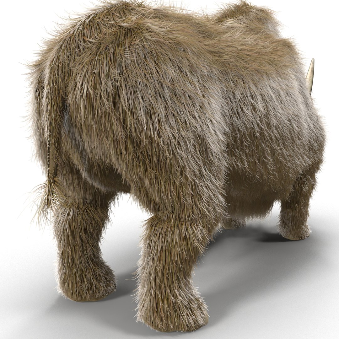 max elasmotherium https://p.turbosquid.com/ts-thumb/xI/uWZFBm/KwSlKBgu/elasmotheriumfur_15/jpg/1413496061/1920x1080/fit_q87/8a2cead9eb335406776bcc57e368a839e9a95f30/elasmotheriumfur_15.jpg