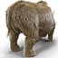 Elasmotherium Fur
