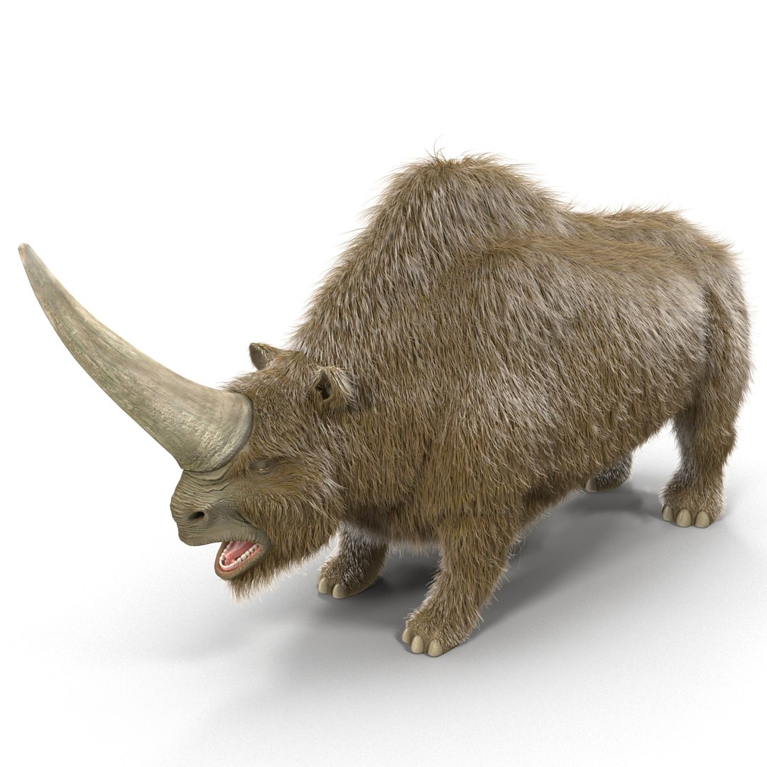 max elasmotherium https://p.turbosquid.com/ts-thumb/xI/uWZFBm/M0pdK7PQ/elasmotheriumfur_6/jpg/1413496088/1920x1080/fit_q87/10bc5c5fb33695670829e97ea1ed271c8b659a5e/elasmotheriumfur_6.jpg