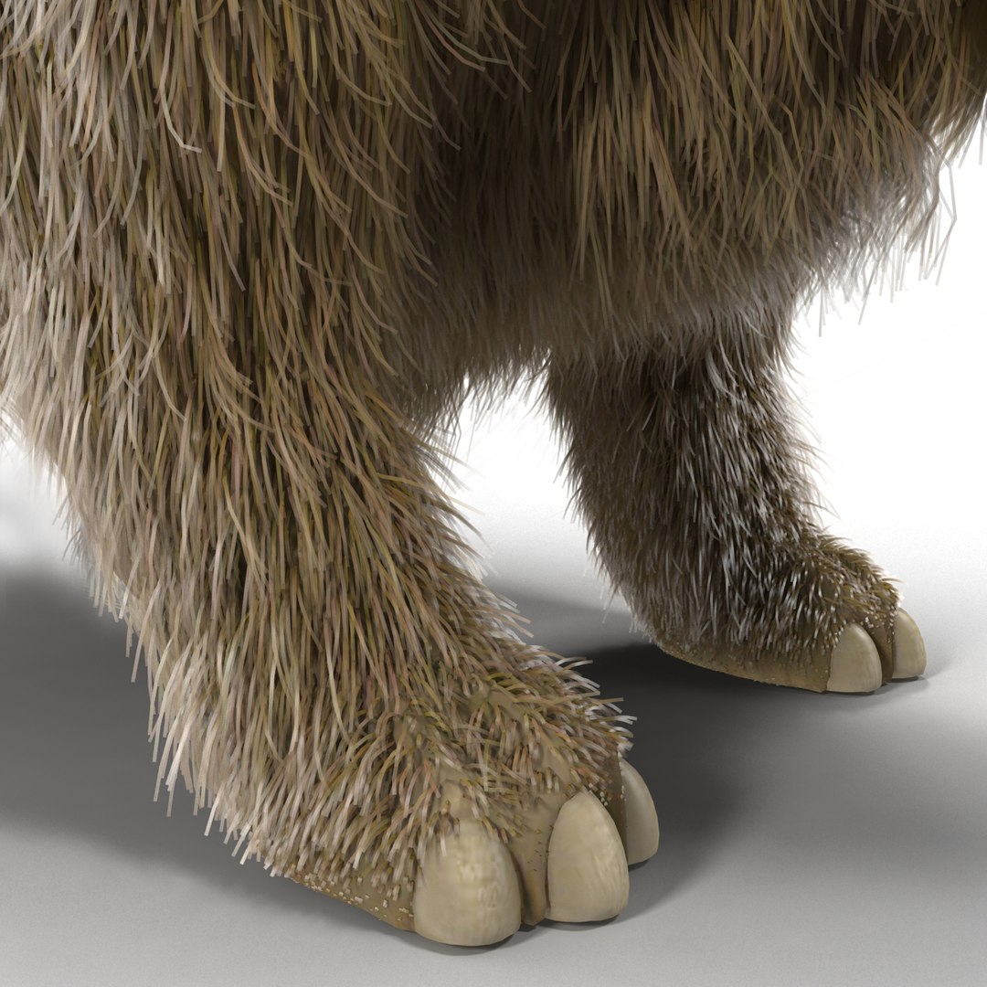 max elasmotherium https://p.turbosquid.com/ts-thumb/xI/uWZFBm/MwBklOxA/elasmotheriumfur_14/jpg/1413496112/1920x1080/fit_q87/2e93ab646e2714c6658bbc76dd818bd8b8c89268/elasmotheriumfur_14.jpg