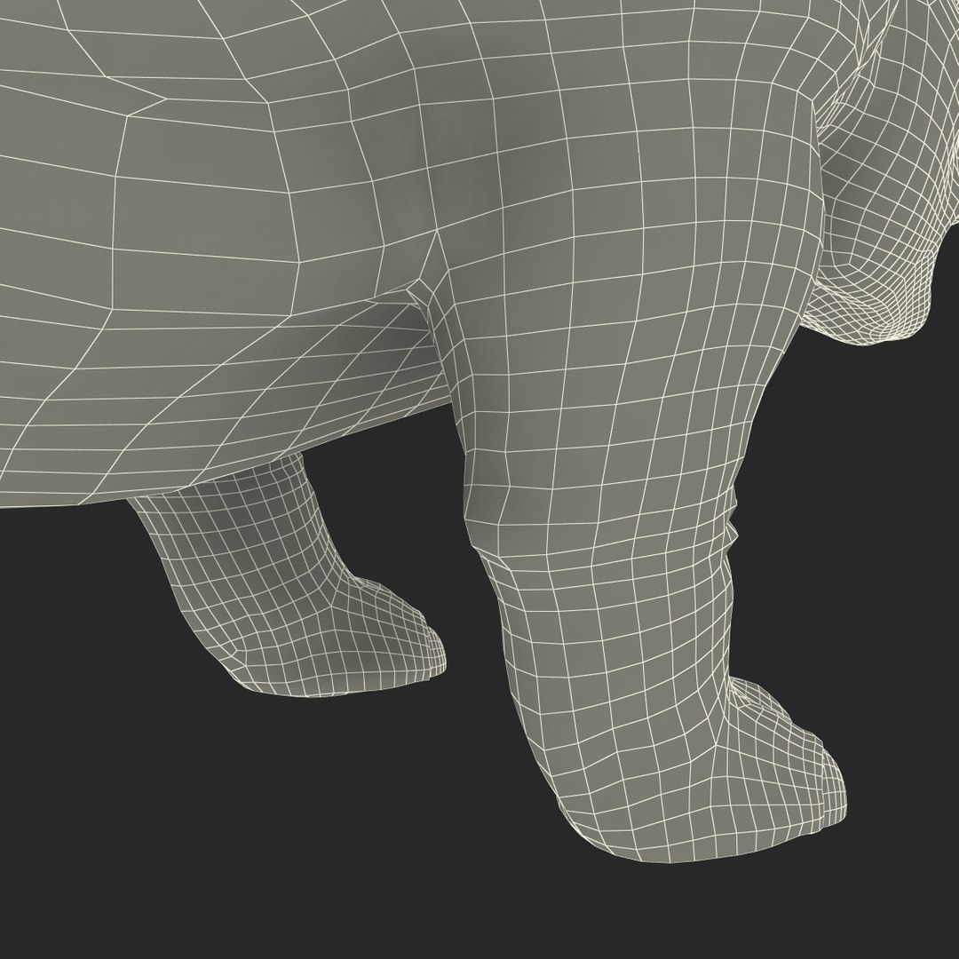 max elasmotherium https://p.turbosquid.com/ts-thumb/xI/uWZFBm/PFW79GMg/elasmotheriumfur_24/jpg/1413496129/1920x1080/fit_q87/d06858d39dc8ff49c5b9c94cf3c03960b53c20ec/elasmotheriumfur_24.jpg