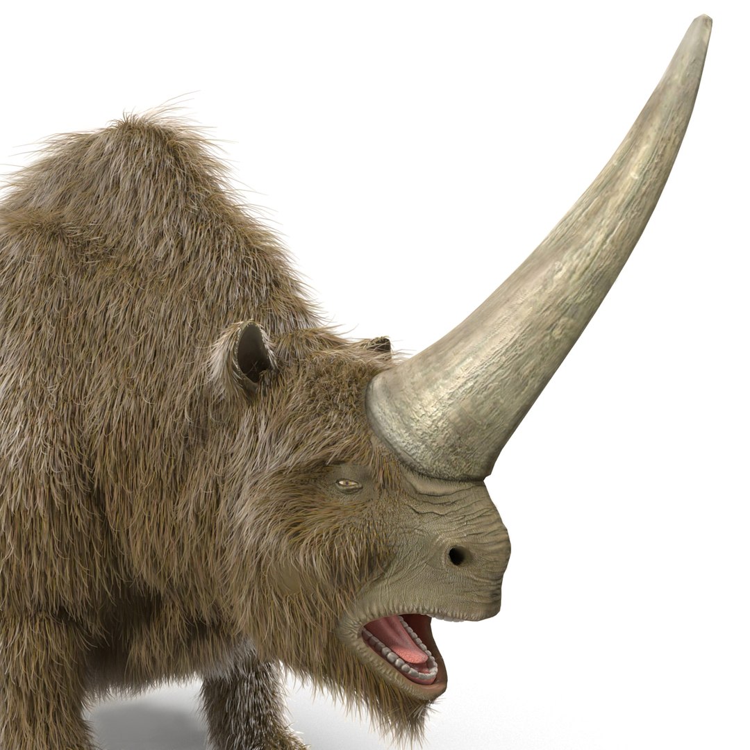 max elasmotherium https://p.turbosquid.com/ts-thumb/xI/uWZFBm/R1cnV3pU/elasmotheriumfur_12/jpg/1413496099/1920x1080/fit_q87/8f33e4b26e7d77baa7223229698482e2a4539e26/elasmotheriumfur_12.jpg