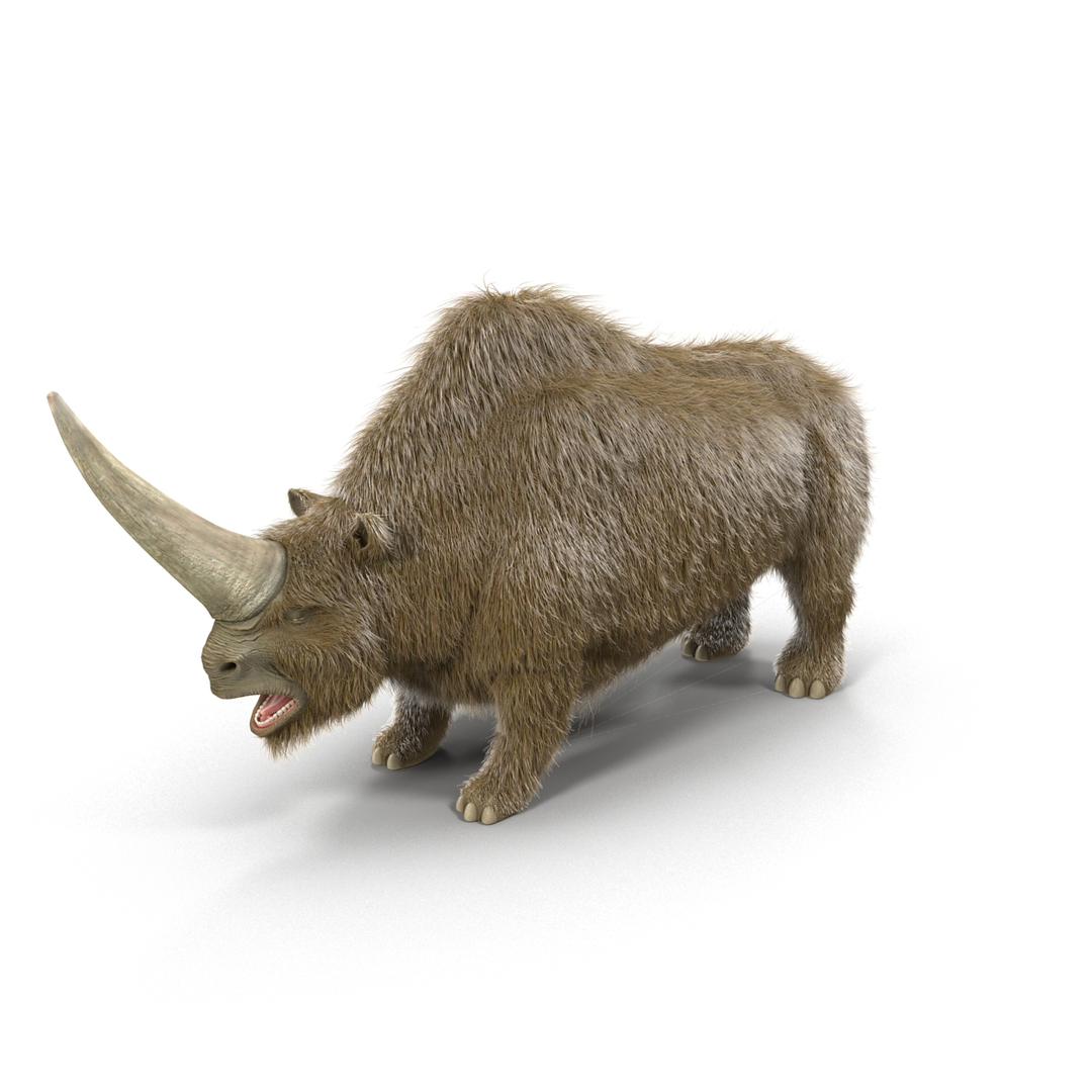 max elasmotherium https://p.turbosquid.com/ts-thumb/xI/uWZFBm/bqAAuB5s/turntablefile_360/jpg/1413496126/1920x1080/turn_fit_q99/6dec6c4ccc8e2cfc8f5ded462e098321b0e8c36c/turntablefile_360-1.jpg
