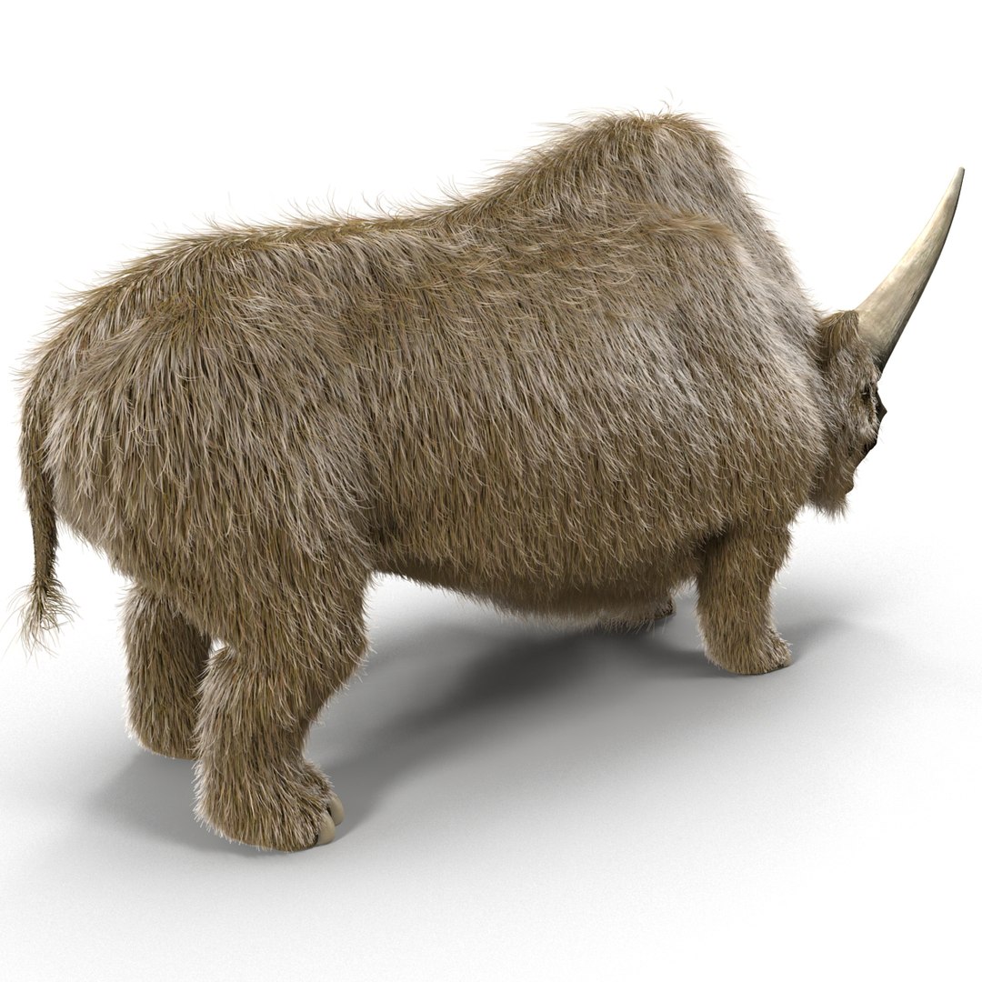 max elasmotherium https://p.turbosquid.com/ts-thumb/xI/uWZFBm/caniHLHv/elasmotheriumfur_8/jpg/1413496048/1920x1080/fit_q87/09c7f4768ddd951d515be82fe578b37b68449a76/elasmotheriumfur_8.jpg