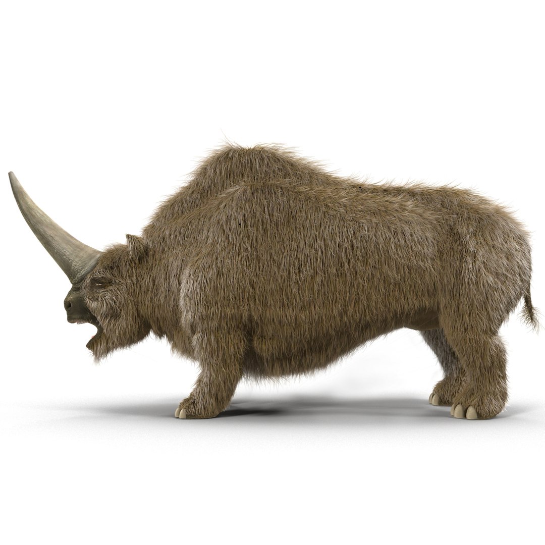 max elasmotherium https://p.turbosquid.com/ts-thumb/xI/uWZFBm/laI074Vx/elasmotheriumfur_4/jpg/1413496041/1920x1080/fit_q87/06c783abcee4b3d0395645b66a15d16af2b3d1de/elasmotheriumfur_4.jpg