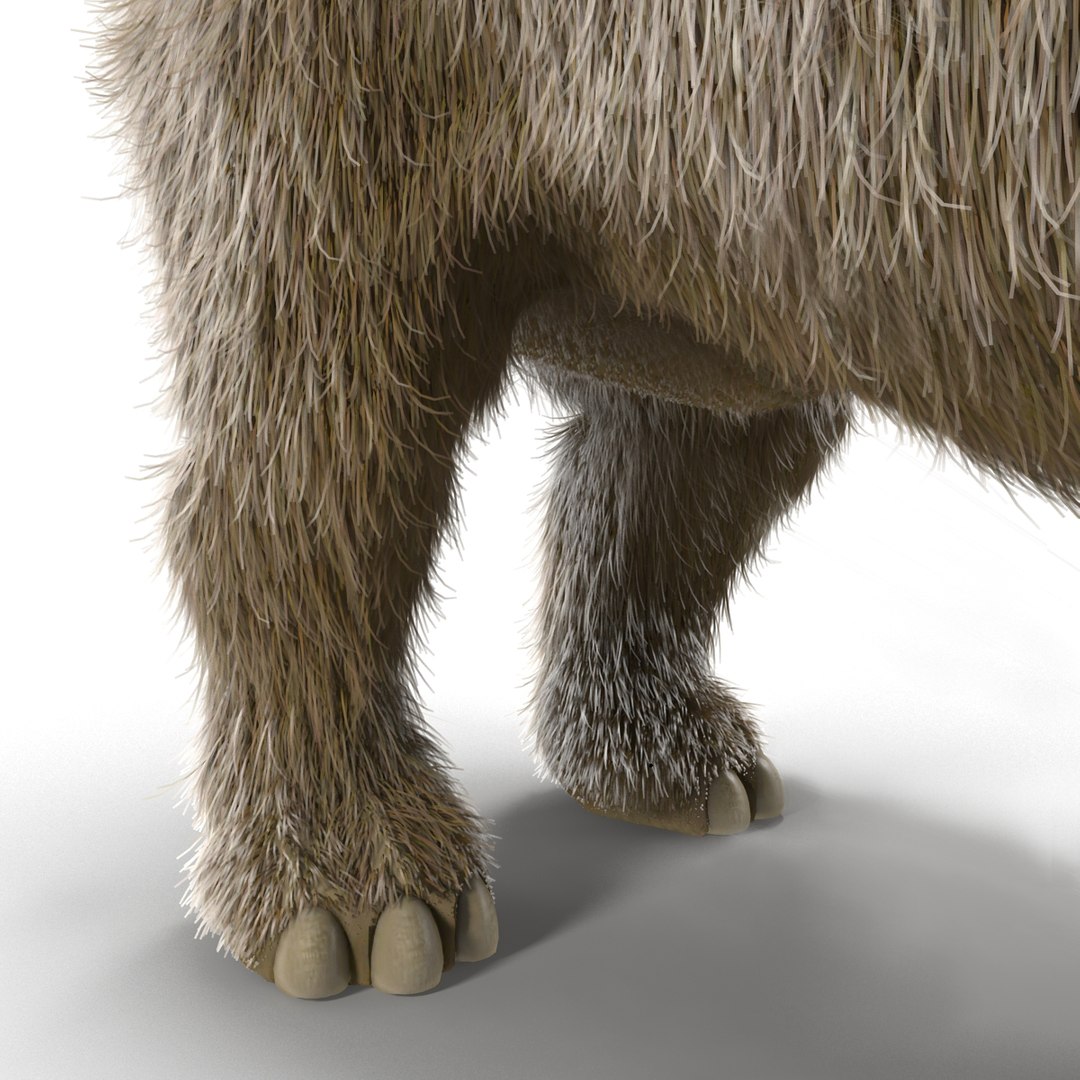 max elasmotherium https://p.turbosquid.com/ts-thumb/xI/uWZFBm/lf9ntzZN/elasmotheriumfur_13/jpg/1413496101/1920x1080/fit_q87/97e6c79d0d16970a71d63169e693d2a263fec3ec/elasmotheriumfur_13.jpg