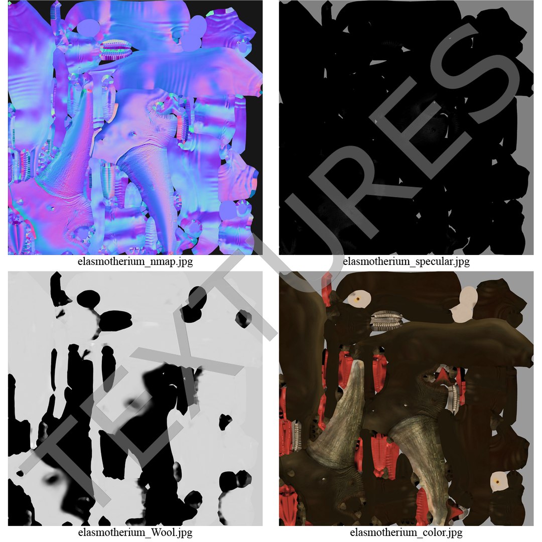 max elasmotherium https://p.turbosquid.com/ts-thumb/xI/uWZFBm/u4yumgmS/elasmotheriumfur_25/jpg/1413496122/1920x1080/fit_q87/7cefbf096086062738d36f2c676bdcd0bd76dcad/elasmotheriumfur_25.jpg