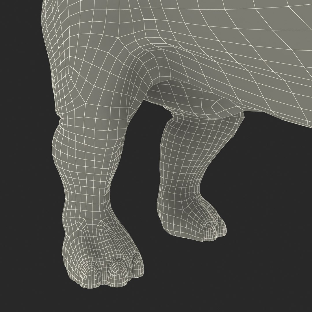 max elasmotherium https://p.turbosquid.com/ts-thumb/xI/uWZFBm/vS6chBap/elasmotheriumfur_22/jpg/1413496117/1920x1080/fit_q87/bdbb8910bf823691243cbfcb95be975a243fc296/elasmotheriumfur_22.jpg