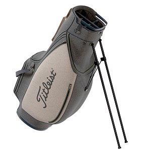 Gold club bag 3D model