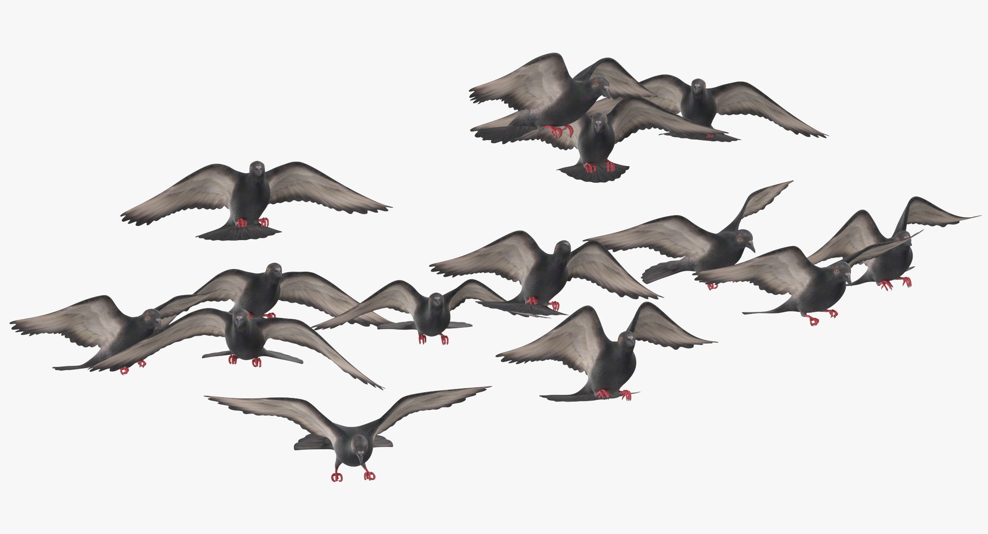 flock flying pigeons small 3D model https://p.turbosquid.com/ts-thumb/xJ/1hOxqz/FHW1Fu43/flocking_birds_pigeons_flying_small_02_thumbnail_0000/jpg/1535112707/1920x1080/fit_q87/ab97d2519443d6256fe33937b67bcbbd0a6681f6/flocking_birds_pigeons_flying_small_02_thumbnail_0000.jpg