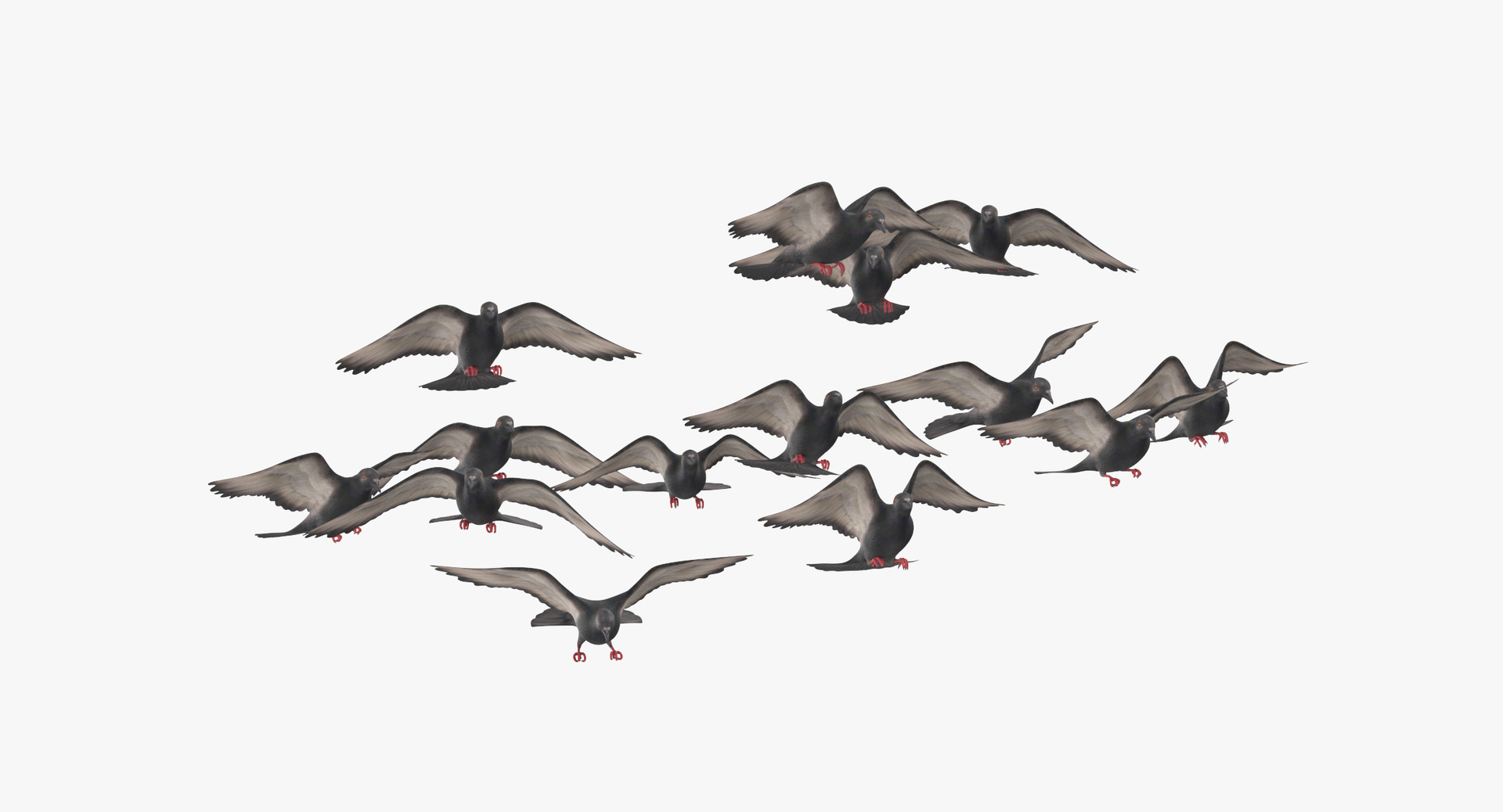flock flying pigeons small 3D model https://p.turbosquid.com/ts-thumb/xJ/1hOxqz/PjCDxRVt/0000/jpg/1535112737/1920x1080/turn_fit_q99/171c5cbbe307483f052f73e9b355c128459e2095/0000-1.jpg