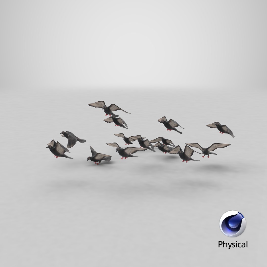 flock flying pigeons small 3D model https://p.turbosquid.com/ts-thumb/xJ/1hOxqz/SfCMYfOK/stemcell_cinema_4d_physical_render/png/1535734912/1920x1080/fit_q87/bf7f9534cb9f6699fe785e227e0dc219ab408d9b/stemcell_cinema_4d_physical_render.jpg