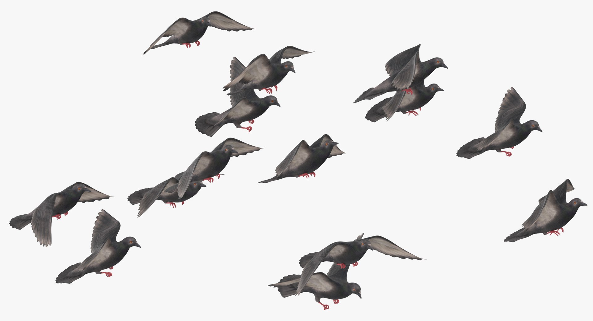 flock flying pigeons small 3D model https://p.turbosquid.com/ts-thumb/xJ/1hOxqz/XbIw5UBo/flocking_birds_pigeons_flying_small_02_thumbnail_0003/jpg/1535112707/1920x1080/fit_q87/8e32e5f08af1a67cd76ee761a3fb1ff752949f19/flocking_birds_pigeons_flying_small_02_thumbnail_0003.jpg