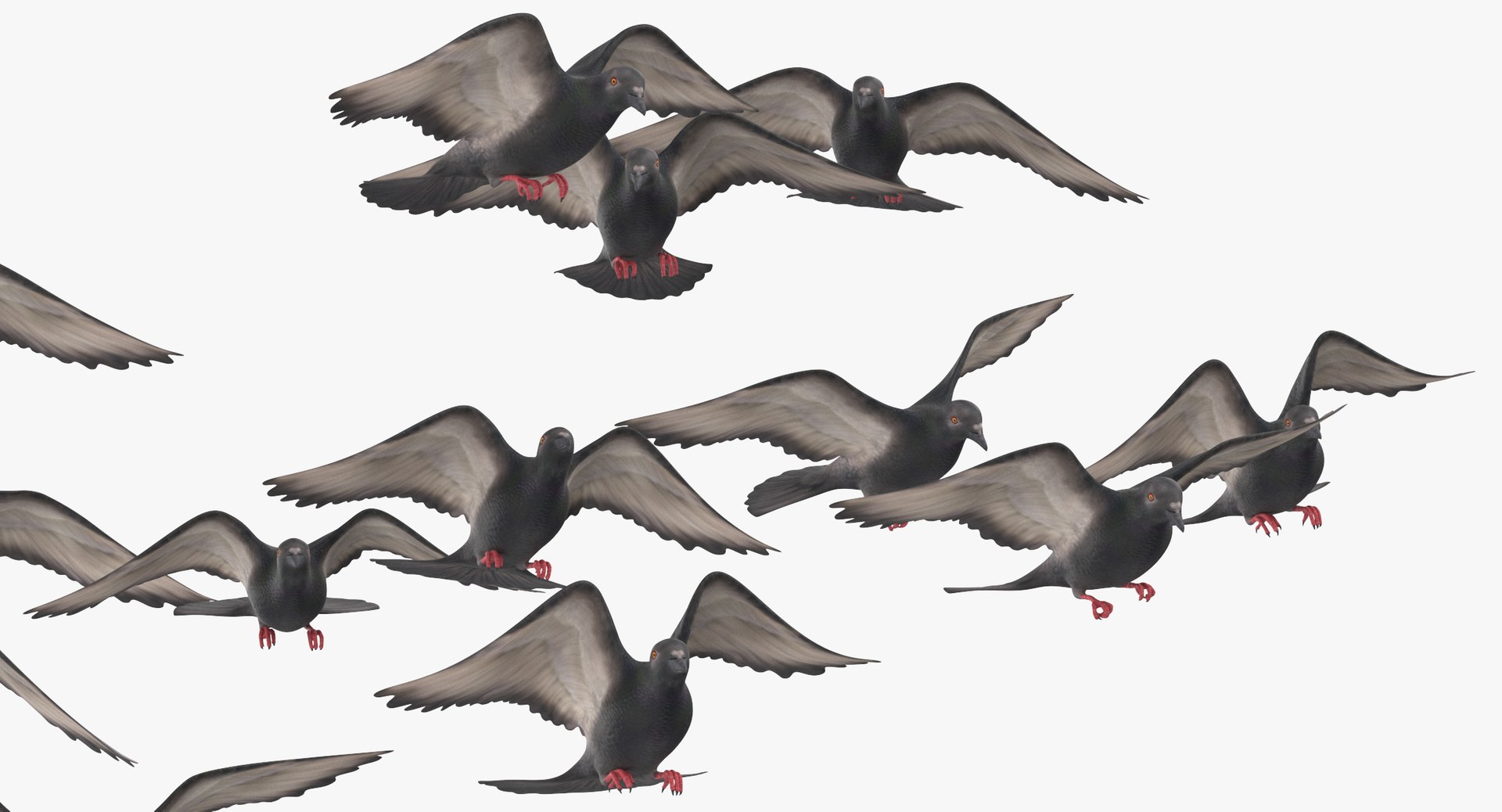 flock flying pigeons small 3D model https://p.turbosquid.com/ts-thumb/xJ/1hOxqz/iwGmOn35/flocking_birds_pigeons_flying_small_02_thumbnail_detailshot_0001/jpg/1535112707/1920x1080/fit_q87/f0d70aff4cde400af1d4237da9cbed441e6af1f6/flocking_birds_pigeons_flying_small_02_thumbnail_detailshot_0001.jpg