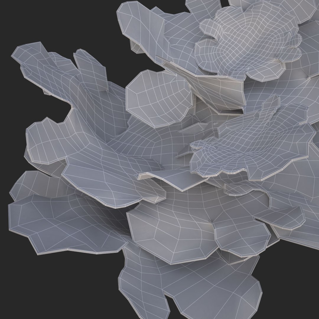 coral montipora bush 3D model https://p.turbosquid.com/ts-thumb/xJ/2JT5MI/L2FTJqmj/016/jpg/1515901845/1920x1080/fit_q87/96d2781f2f8c72bbcce0fd4caf046cb465295330/016.jpg