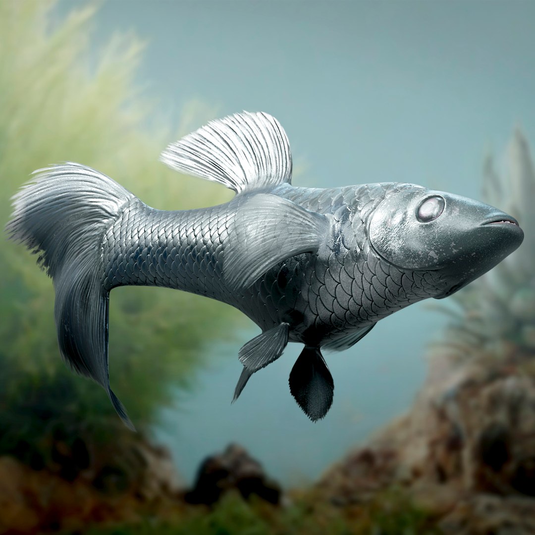 Guppy Fish Black Prince Rigged 3D model preview
