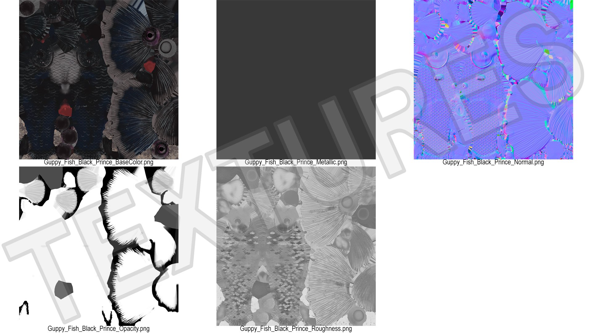 Guppy Fish Black Prince Rigged 3D https://p.turbosquid.com/ts-thumb/xJ/BjQKr5/DL/guppyfishblackprinceriggedmb3dmodel029/jpg/1725104314/1920x1080/fit_q87/b8d0b16570d7bb220ed06081027dcde63078ed4e/guppyfishblackprinceriggedmb3dmodel029.jpg