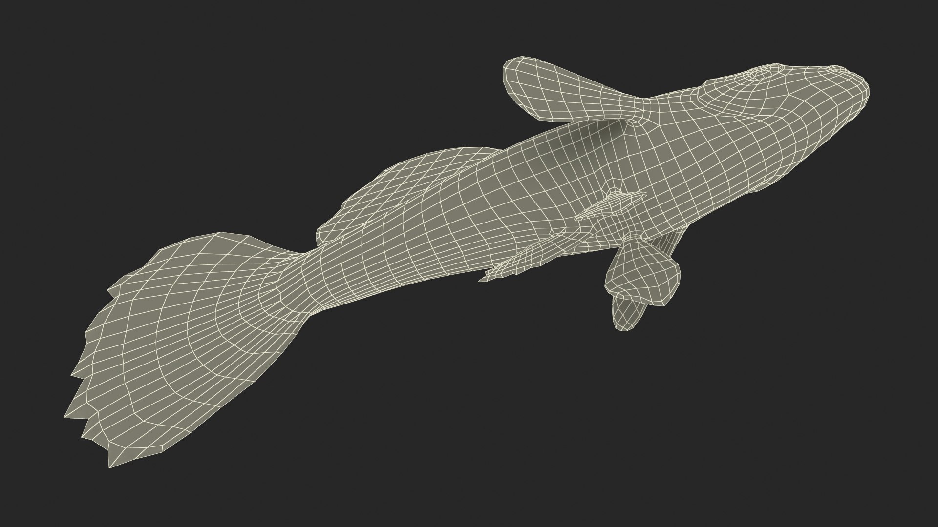 Guppy Fish Black Prince Rigged 3D https://p.turbosquid.com/ts-thumb/xJ/BjQKr5/K6/guppyfishblackprinceriggedmb3dmodel032/jpg/1725104326/1920x1080/fit_q87/50f3e7d48dc709f246216ea9e64ed4538da1997d/guppyfishblackprinceriggedmb3dmodel032.jpg