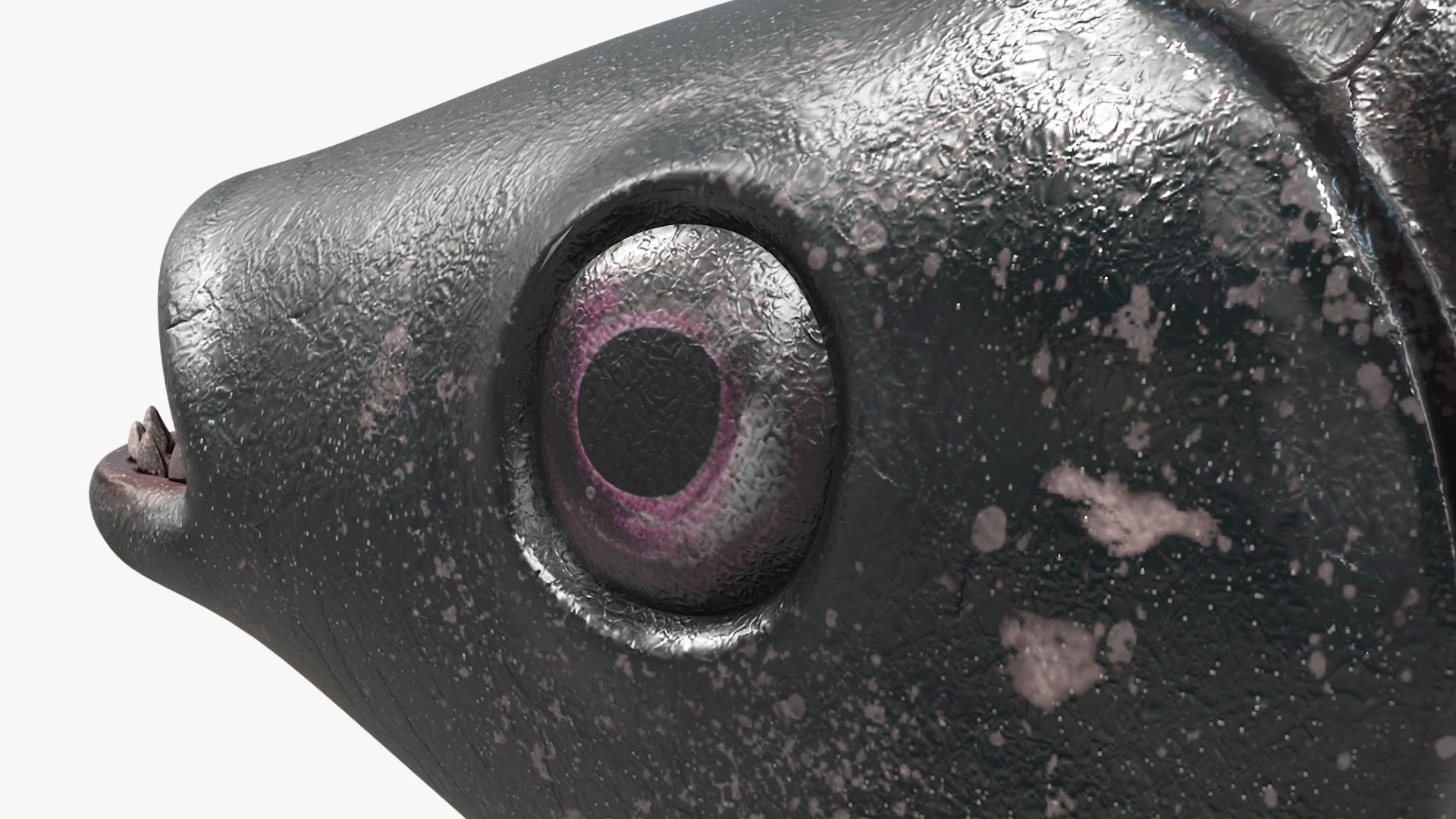 Guppy Fish Black Prince Rigged 3D https://p.turbosquid.com/ts-thumb/xJ/BjQKr5/Mm/guppyfishblackprinceriggedmb3dmodel023/jpg/1725104280/1920x1080/fit_q87/790f9f2db41d1df667b4c6f3d7555fcde4a0756c/guppyfishblackprinceriggedmb3dmodel023.jpg