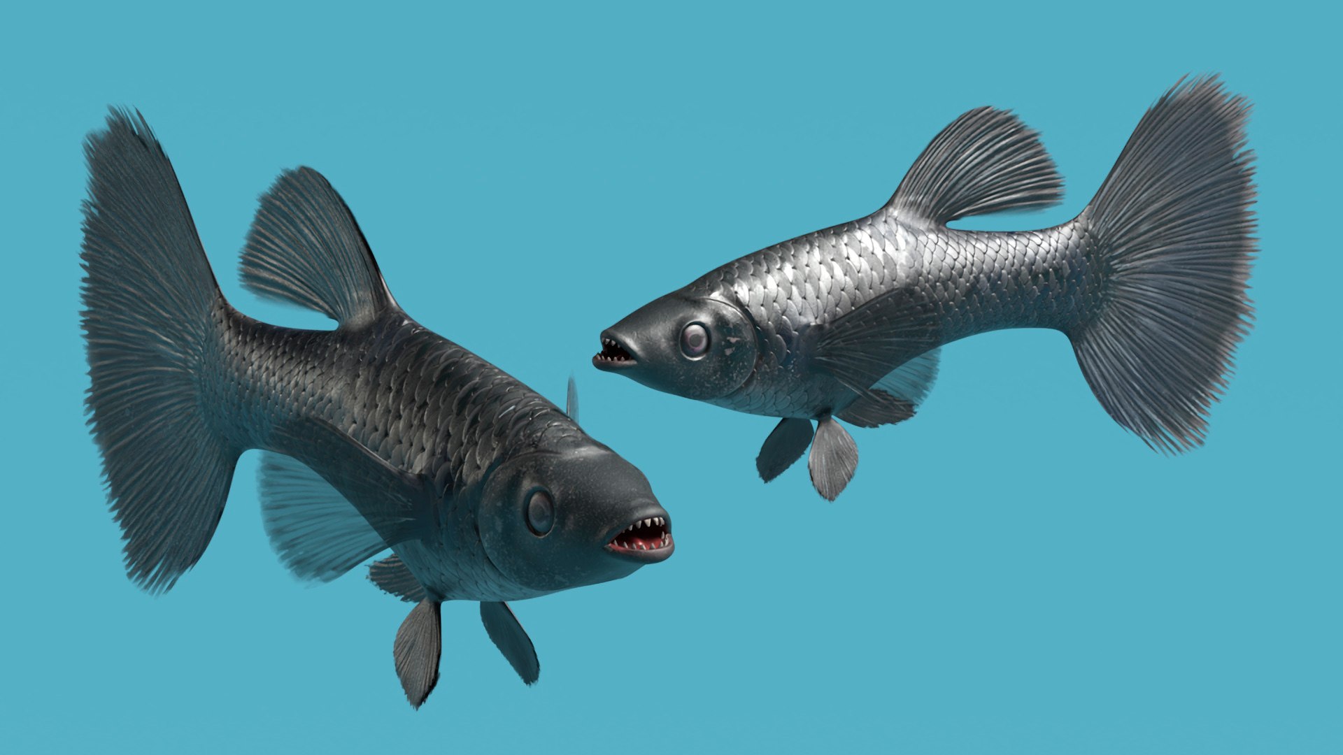 Guppy Fish Black Prince Rigged 3D https://p.turbosquid.com/ts-thumb/xJ/BjQKr5/lL/guppyfishblackprinceriggedmb3dmodel010/jpg/1725104219/1920x1080/fit_q87/51844a68b9dbb5f20f0711df06622283fc8ce847/guppyfishblackprinceriggedmb3dmodel010.jpg