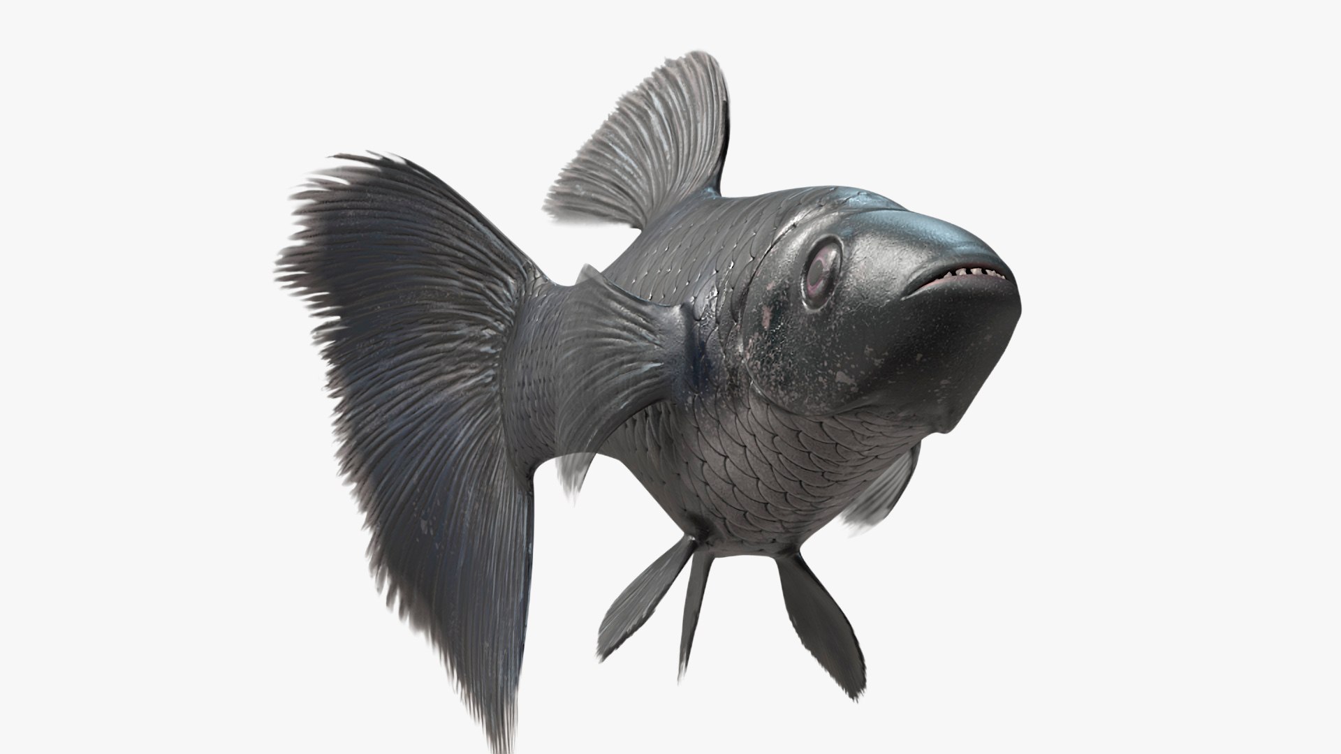 Guppy Fish Black Prince Rigged 3D https://p.turbosquid.com/ts-thumb/xJ/BjQKr5/mp/guppyfishblackprinceriggedmb3dmodel018/jpg/1725104259/1920x1080/fit_q87/0141d08a1168737a0c52f48bf33aa9ff47d1e507/guppyfishblackprinceriggedmb3dmodel018.jpg