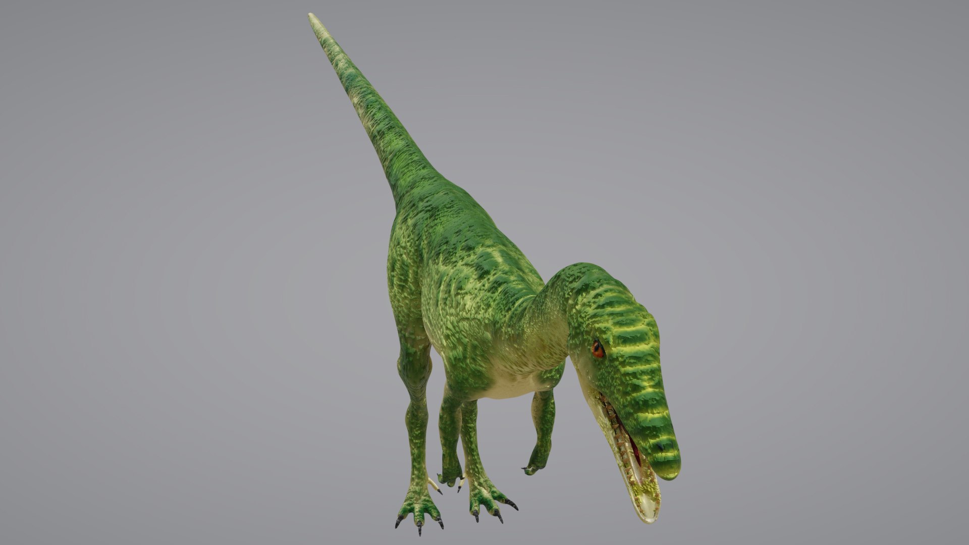 Coelophysis 3D https://p.turbosquid.com/ts-thumb/xJ/DUZNzv/Tb/coelophysis03/png/1652830236/1920x1080/fit_q87/844a12efb1f6d341bbe8b957b712337c0f61c668/coelophysis03.jpg